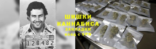 мдпв Зеленодольск